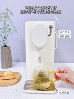 蓝宝DM01图7