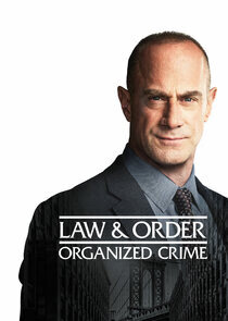 法律与秩序：组织犯罪第2季