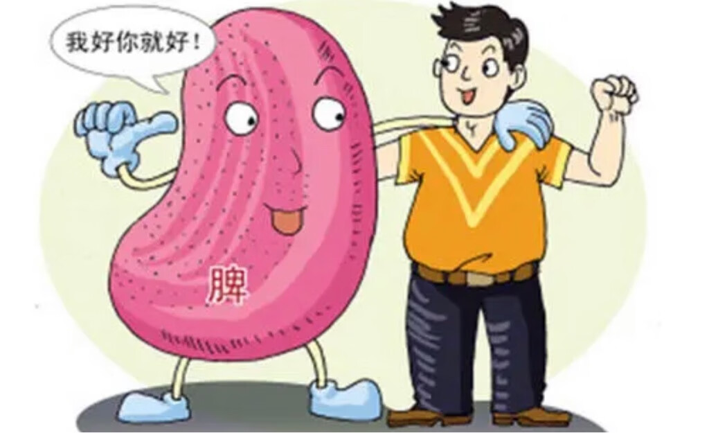 脾虚为什么会导致上火-京东健康