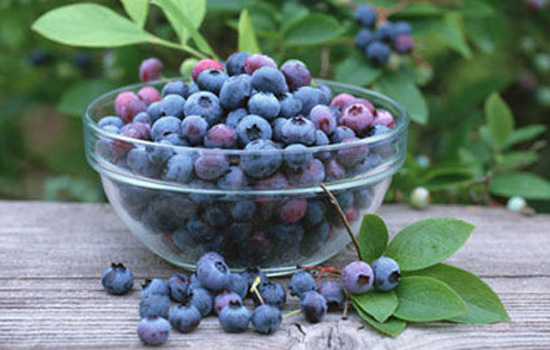  Fruit +