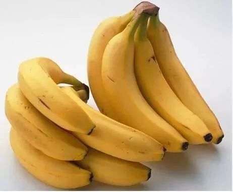 Musa nana