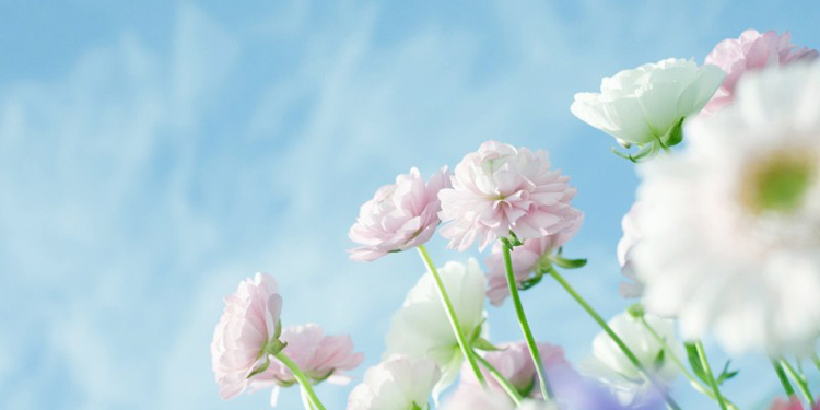 被热水烫伤怎么办用洗洁精止痛的方法- 京东