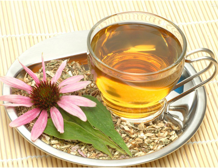碧生源常润茶 碧生源常润茶