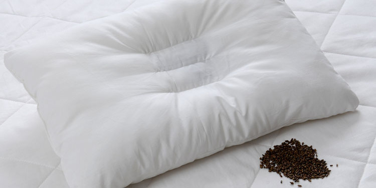 决明子枕头 京东