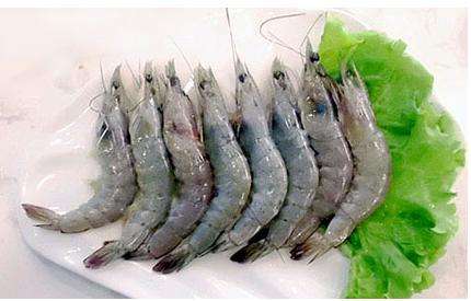 青虾的营养价值有哪些 青虾适宜人群有哪些