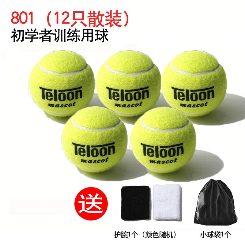 天龙网球训练球初学进阶专业比赛网球练习用球 12只 天龙801【送球袋 护腕】