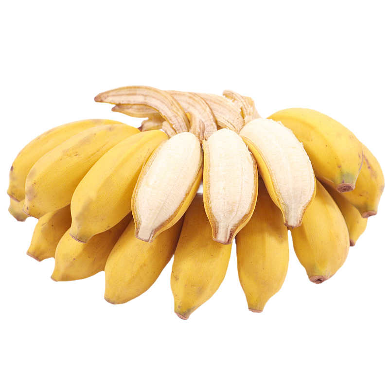 果迎鲜 香蕉 广西小米蕉 5斤装 芭蕉 新鲜水果 生鲜 生果 小米蕉是小的 小芭蕉