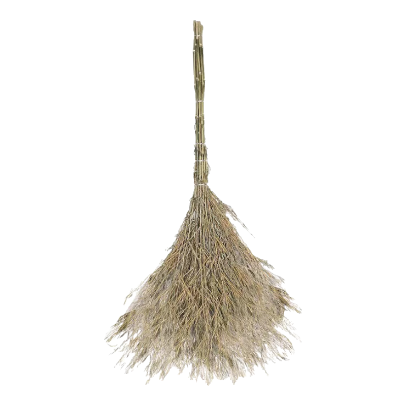  ֦ɨ ѧУͥԺ ɨ һʽɨѣ3һװ