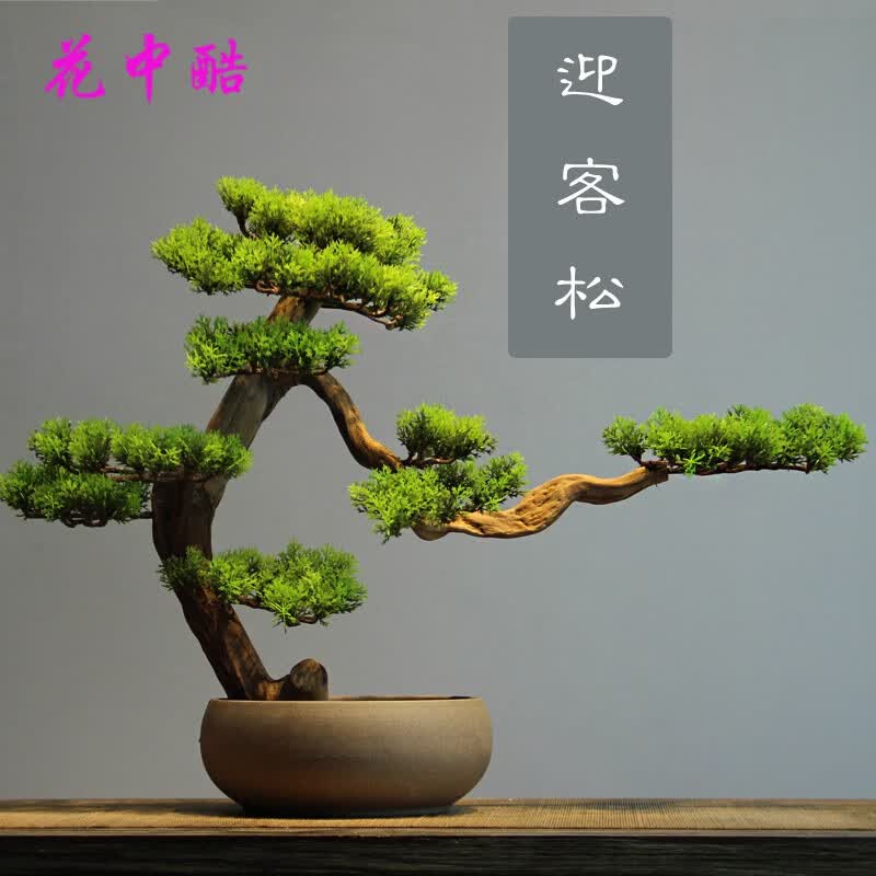 ���п����ڹ���ӭ���ɻ�ɽ���辰 ��ɽ���쾰����ֲ����ֲ ӭ��������25��+���� 4.75Ԫ