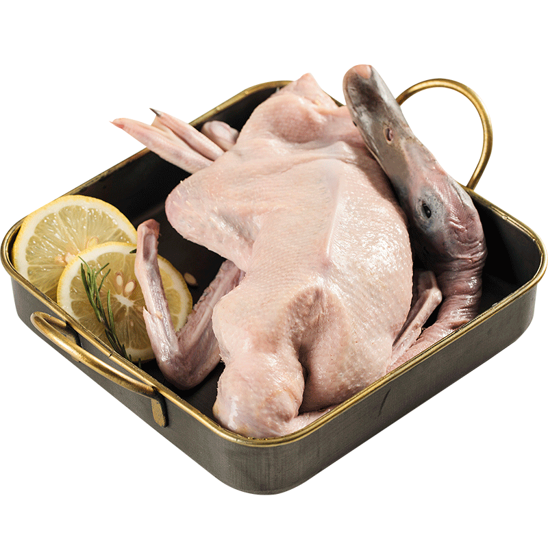 华英 赣南麻鸭 散养生态麻鸭 1.25kg/袋 冷冻 散养 整鸭新鲜土鸭 煲汤 红烧 鸭肉生鲜食材