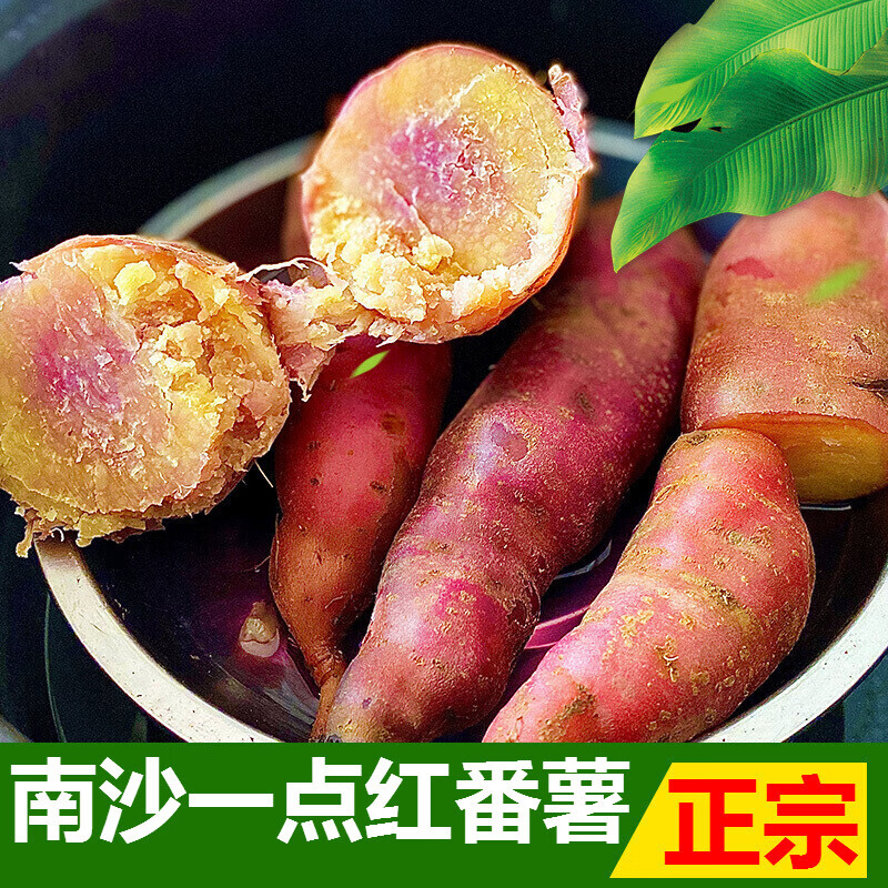 【JD顺丰-多地隔日达】广州南沙一点红番薯5斤装 新鲜红薯紫皮黄心板栗粉糯冰淇淋地瓜山芋长寿瓜