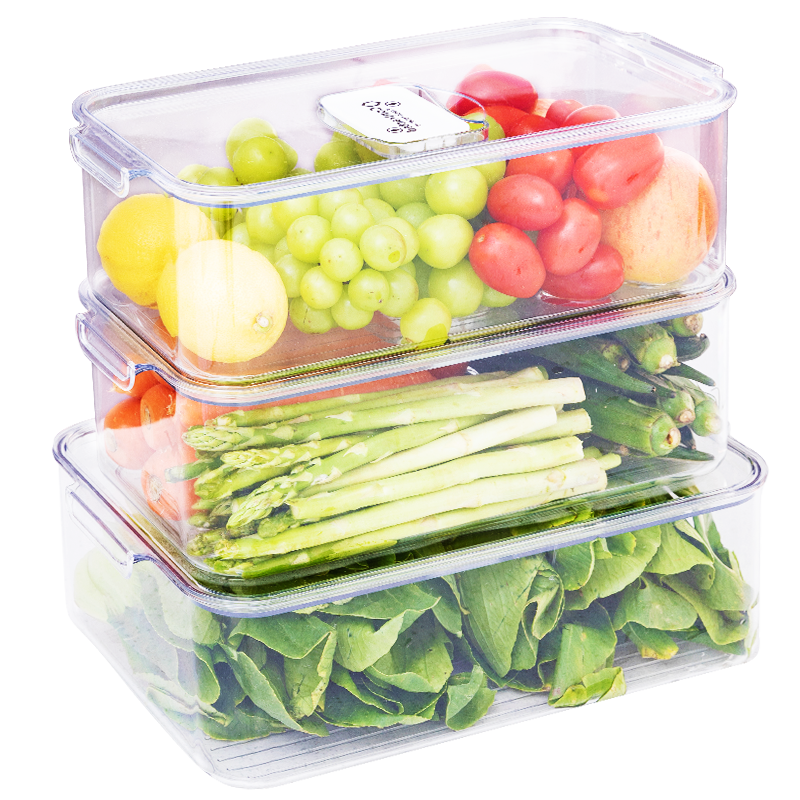 太力冰箱收纳盒 PET透明保鲜盒5L食品级饭盒蔬菜水果食品杂粮收纳储物盒冷冻饺子厨房整理盒