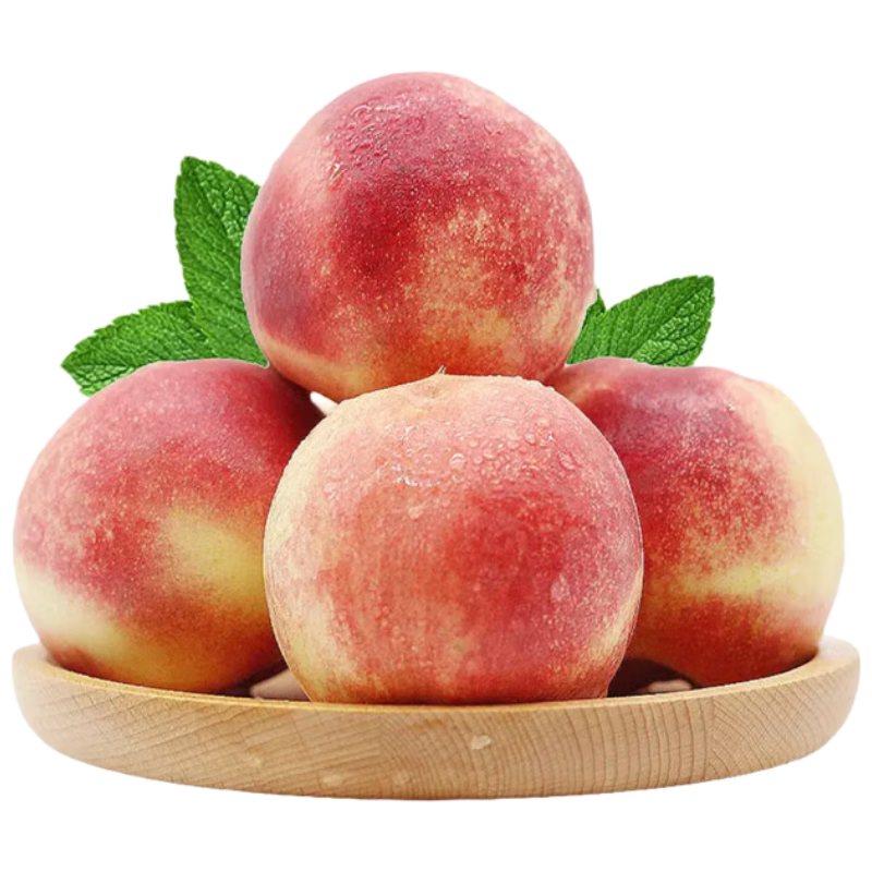 ����Ӫ�����������4��800g