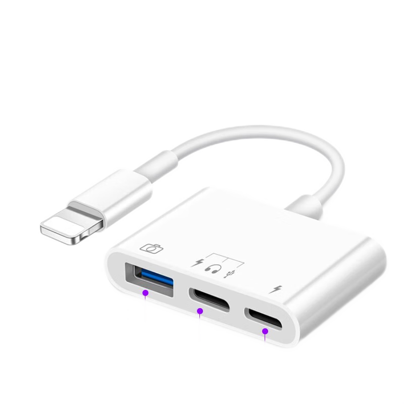 ɭƶӲƻotgתͷlightningӿipadƽֻݴȡuһ lightningUӲ+C+ƻ硿