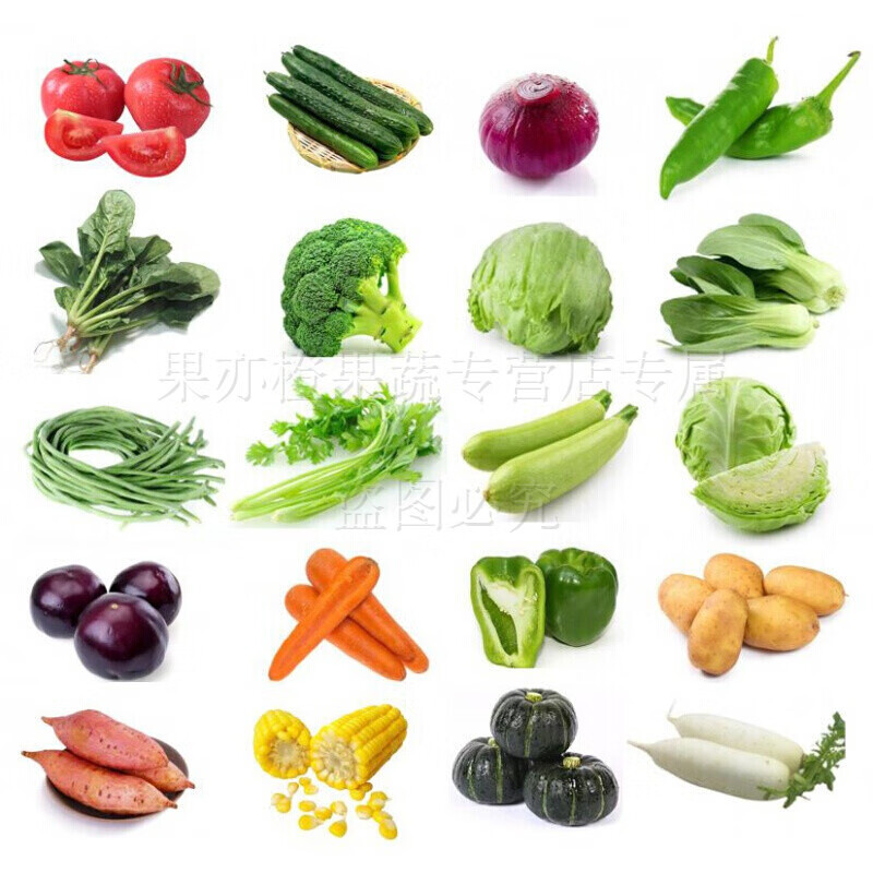 新鲜蔬菜组合混搭3-4种蔬菜5斤新鲜现摘当季蔬菜生鲜团建送礼生鲜 3-4种蔬菜(可备注)