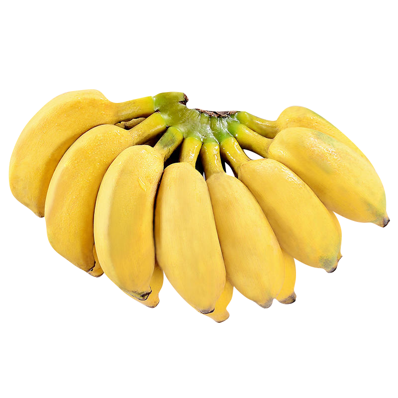 广西小香蕉4斤装当季水果大芭蕉皇帝蕉新鲜水果