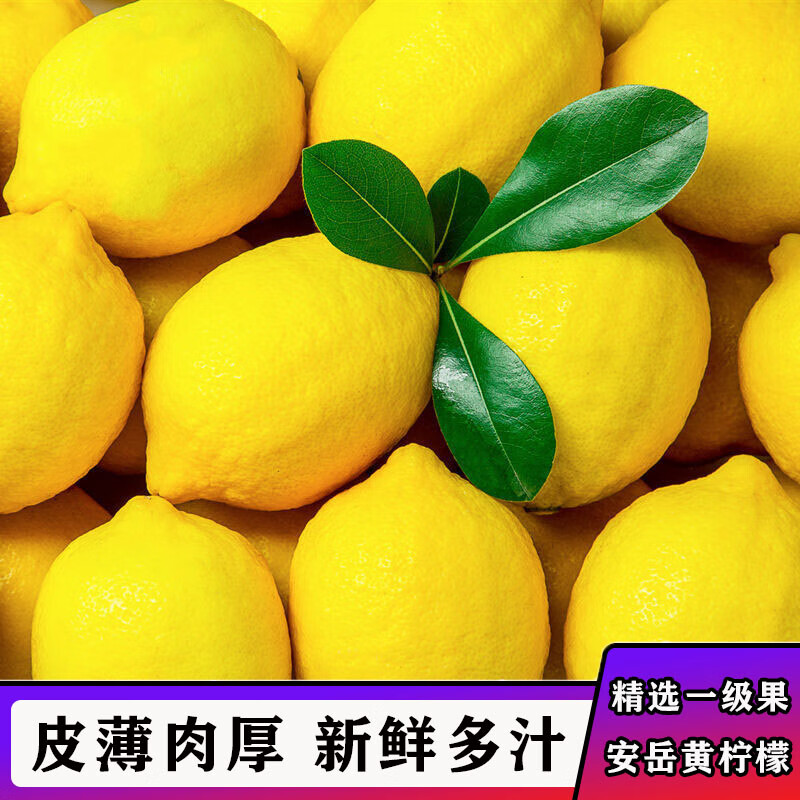 【现货不用等】四川安岳黄柠檬酸甜 5斤精品装 当季新鲜水果 5斤装