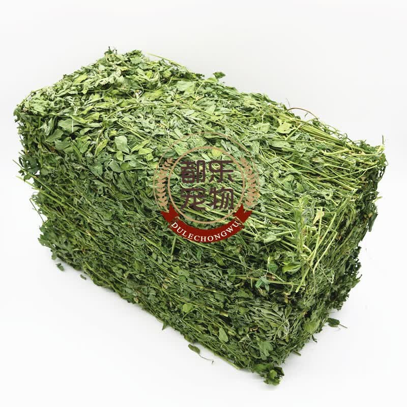 �����������������ϻ���ޣ������������è���������ݸɲ�ë�� 1000��