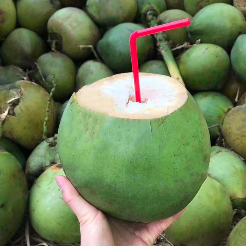 海南带皮椰青5个装新鲜特产椰子热带孕妇水果