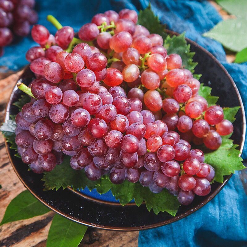 新疆葡萄新鲜水果当季吐鲁番无籽红提提子3斤/5斤整箱 红提 5斤