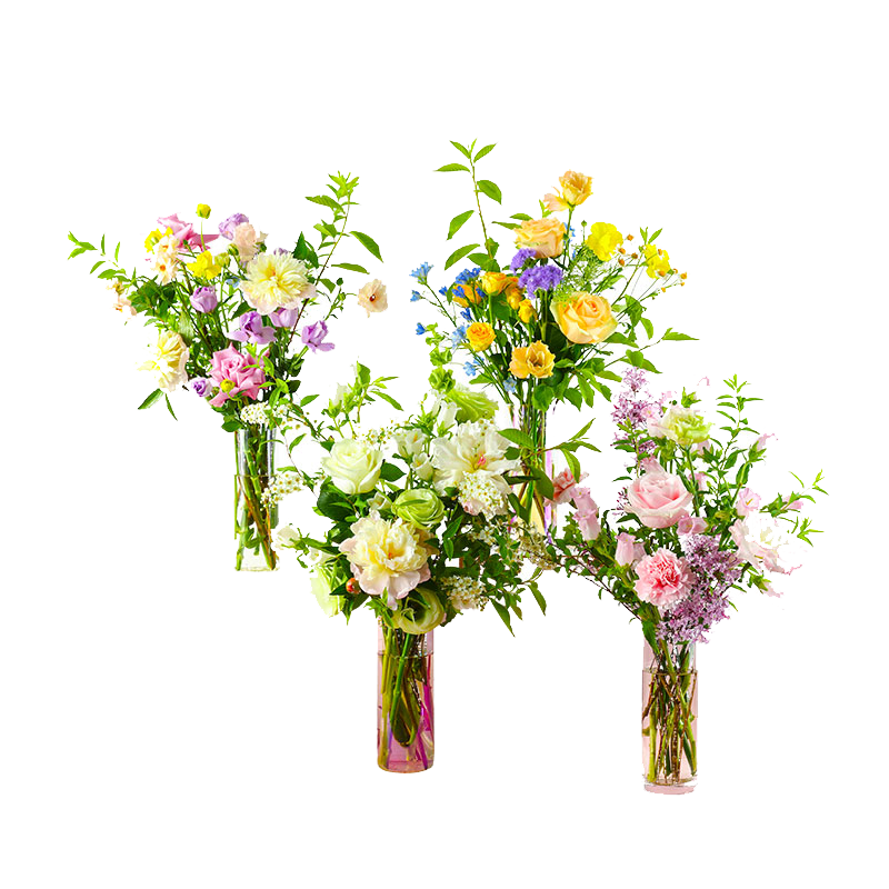 花点时间 Reflower 每周一花 自然混合系列包月鲜花4束 周一收花（周五17点前下单）