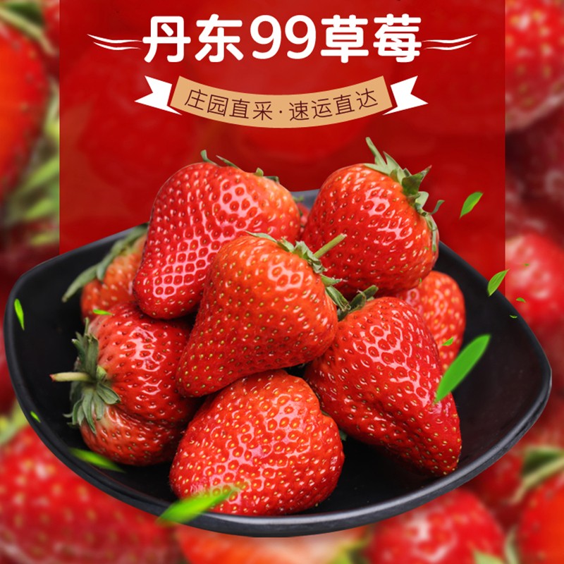 现摘现发顺丰空运丹东99红颜奶油草莓新鲜水果 3斤装