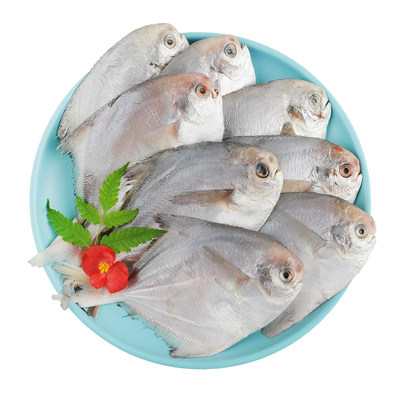 纯色本味 舟山口袋鲳 银鲳鱼 白鲳 健康轻食 700g 平鱼原条单冻 烧烤 生鲜食材 鱼类 海鲜水产