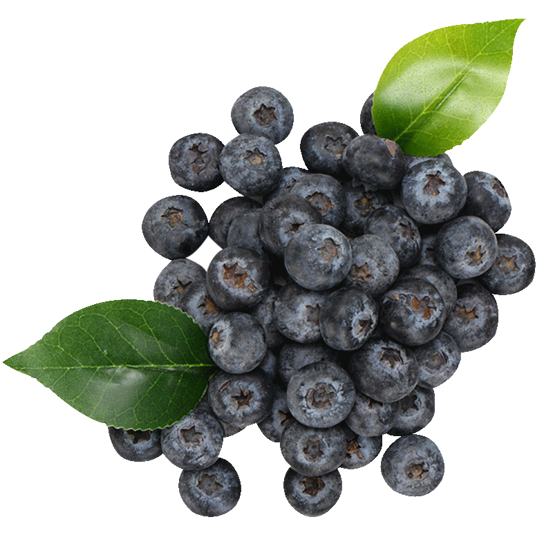 0点生效,促销攻略:京东 自营蓝莓 5折平行立减,3月13日更新—— 慢慢