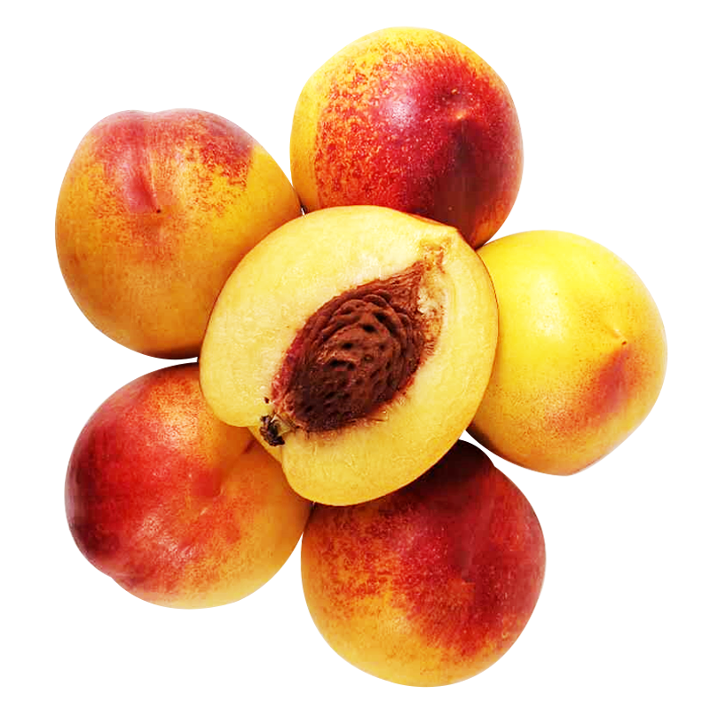 智利进口黄肉油桃 一级果 4粒尝鲜装 单果重150g起 桃子 生鲜水果 桃李杏