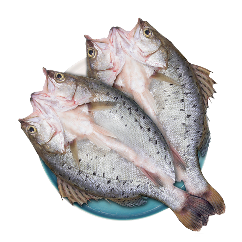 鲜城故事 三去白蕉海鲈鱼700g两条装珠海特产烧烤食材冷冻海鲜水产