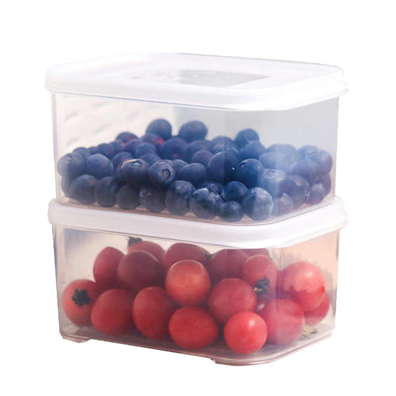 禧天龙保鲜盒冰箱收纳盒塑料保鲜盒储物盒密封盒 生鲜蔬菜水果冷藏冷冻盒 0.9L