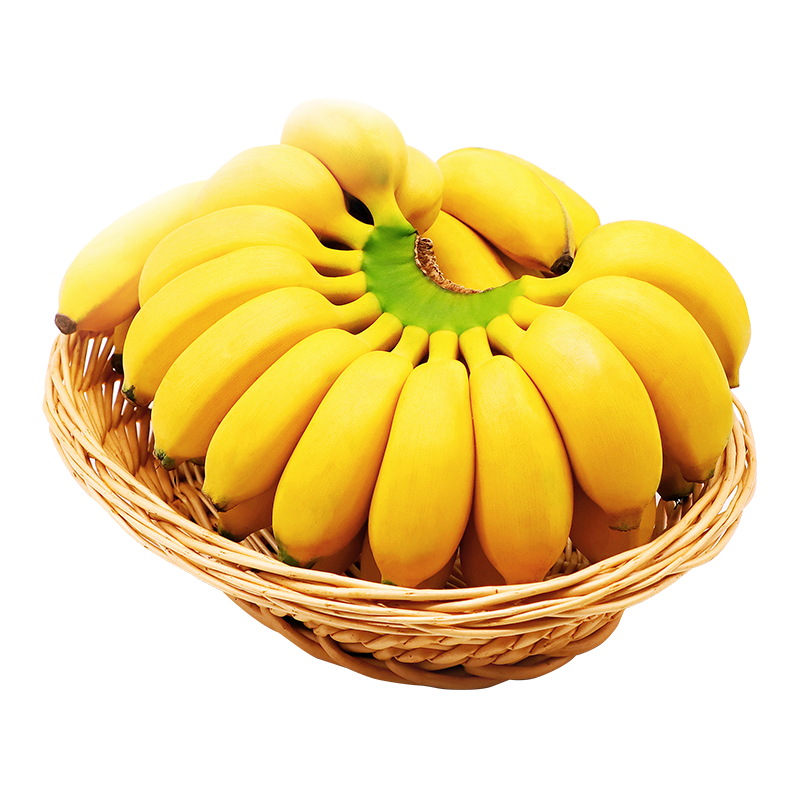 寻味君 广西 香蕉 小米蕉 新鲜水果 9斤装