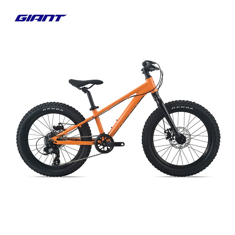 �ݰ��أ�GIANT��STP 20���Ͻ�20��7�ٻ�е��ɲ���³����������г� ɳĮɫ 20��10 ����115-135cm