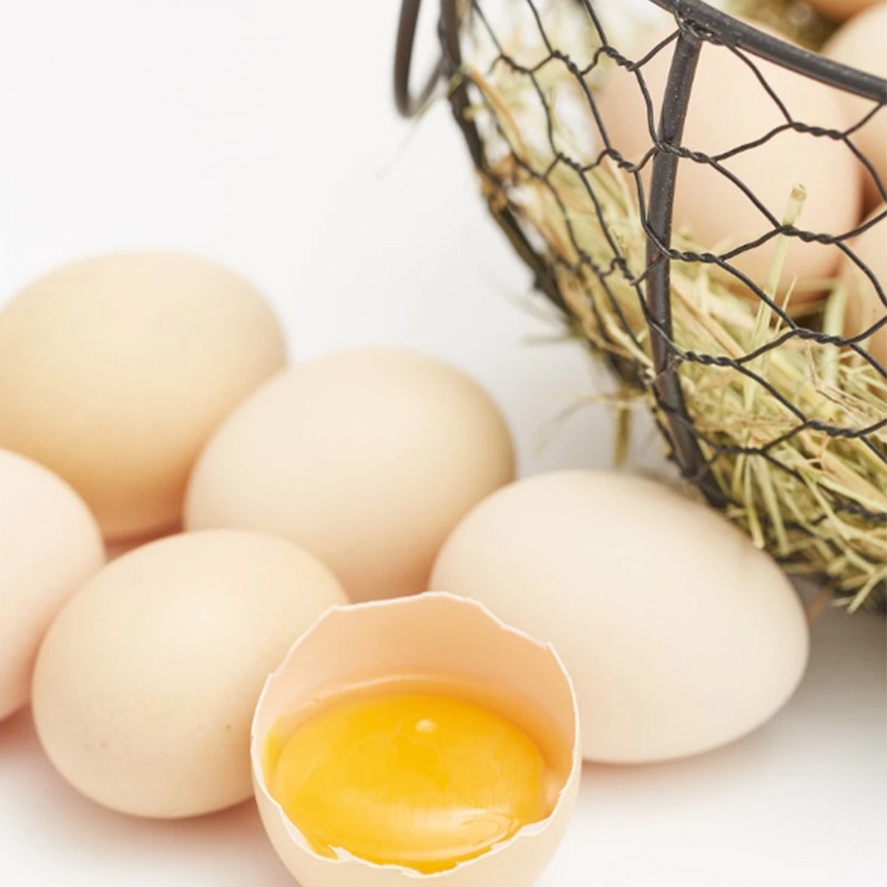 10枚 土鸡蛋农家散养新鲜鸡蛋柴鸡蛋笨鸡蛋好吃的鸡蛋不支持拒收 10枚土鸡蛋