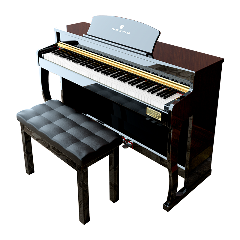 特伦斯（Terence）电钢琴88键重锤智能数码钢琴专业考级电子钢琴成人儿童家用电钢KD-8818 重锤/典雅黑
