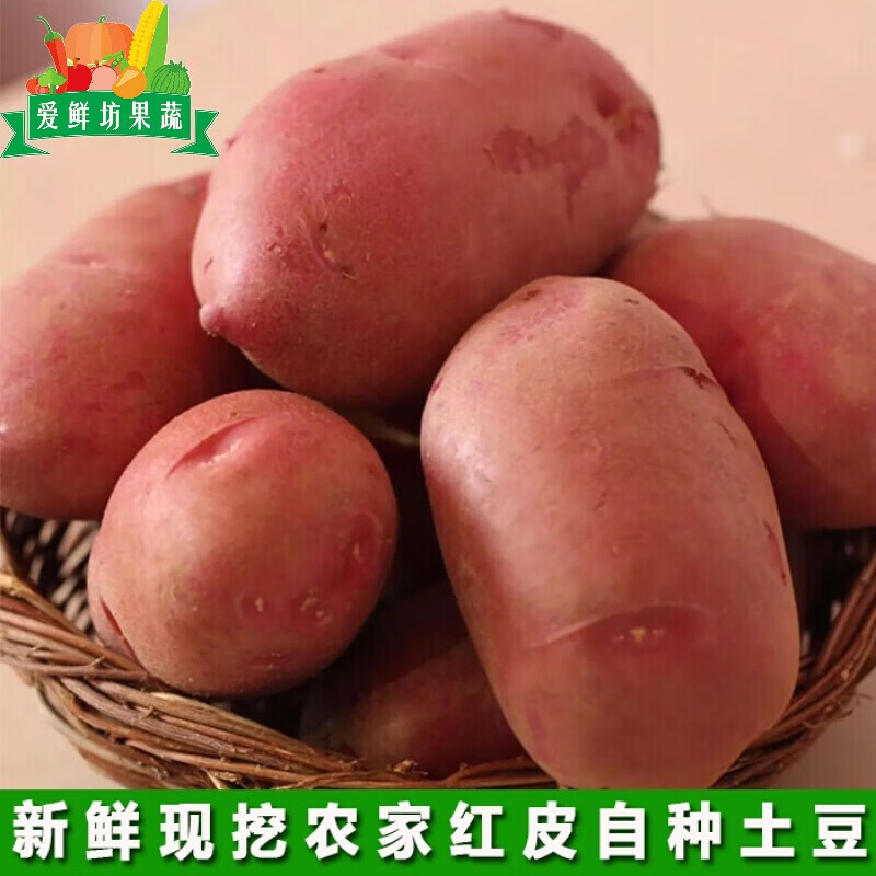 土豆宁夏固原 5斤 红皮现挖带土马铃薯洋芋农家自种新鲜蔬菜 2500g