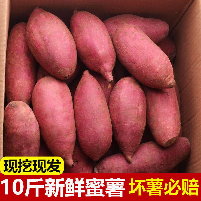 【坏薯必赔】沙地红薯新鲜现挖农家自种地瓜番薯红黄心薯整箱批发 带箱(9-9.5斤装) 大号装