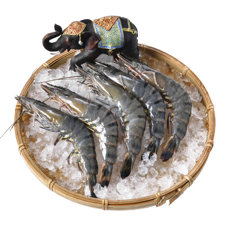 京觅 活冻黑虎虾 300g?12-15只 泰国原装进口 生鲜海鲜食材 京东生鲜自有品牌