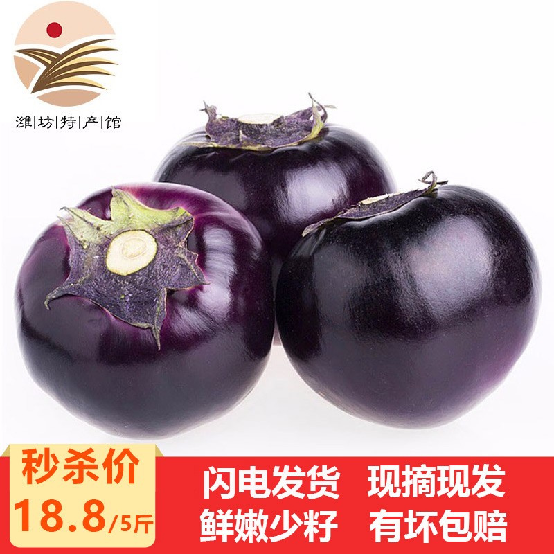 潍坊馆 山东紫茄子 圆茄子 长茄子 新鲜蔬菜 4.5斤装
