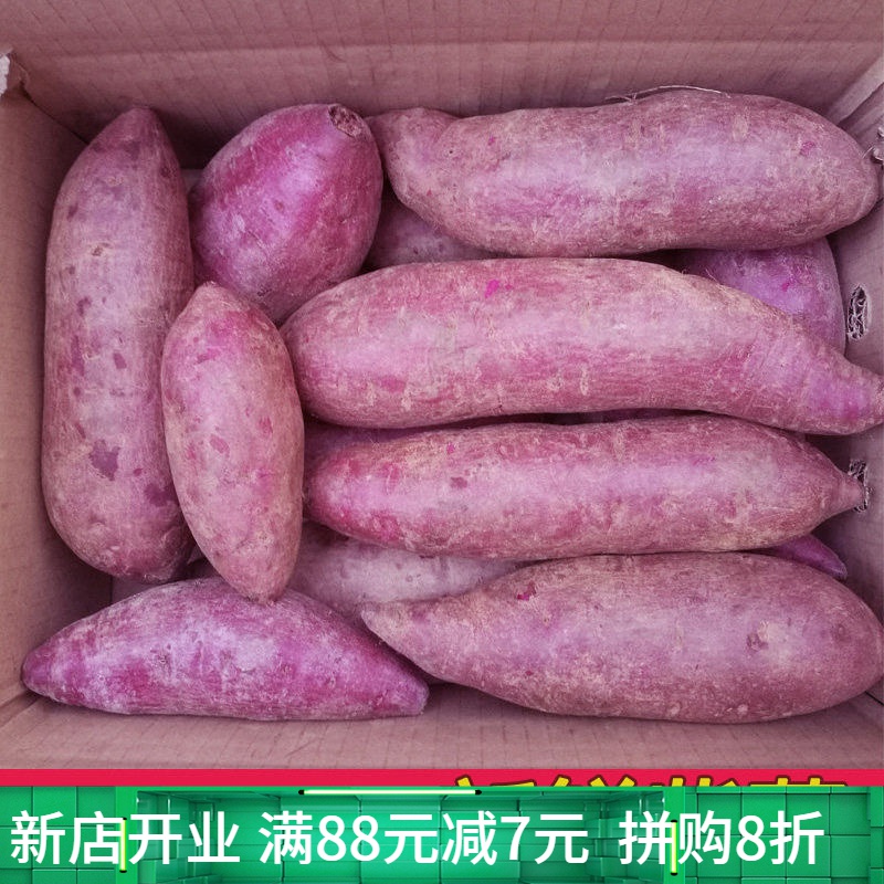 广西紫薯新鲜现挖地瓜紫芋头番薯紫薯红薯农家自种带箱 9斤 大果