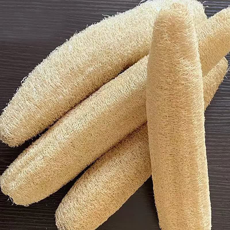˿ȿϴ˿Ĩάٽ಼ϴ 20-25 5װ19.99Ԫ