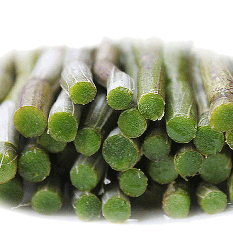 ���л�ʯ����ɭ�� �����㵴ɽ������Ƥʯ������500g��������Ƥ�̲��㶷��������Ұ���㽭����ʯ����ҩ�� 60.42Ԫ