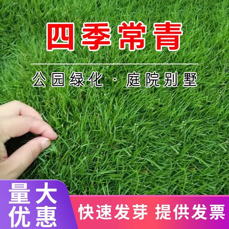 ��ѩ���ڲ�ƺ���Ӳ��Ѱ����ļ���ͥԺ�̻��ļ����໤�����޼������� �첥�ļ�������1�� 10Ԫ