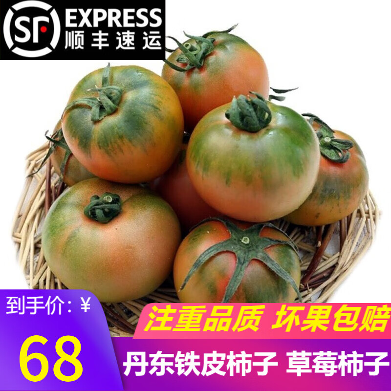（顺丰）辽宁丹东碱地草莓柿子 铁皮柿子绿腚油柿子西红柿番茄 5斤