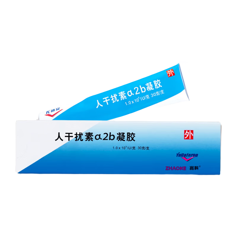 �Ⱦ��� �˸����ئ�2b���� 30g/֧(1.0*10?IU/g)