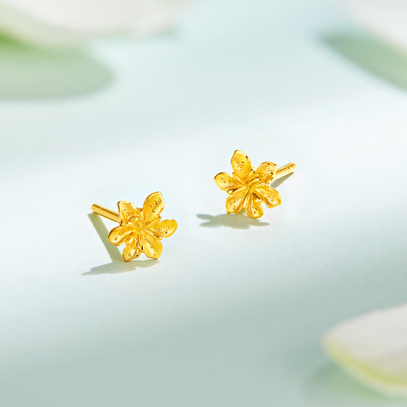 �����鱦������ӻ��ƽ������������ �Ƽ� G01G0027DS 0.98��(������100Ԫ) ��轺����