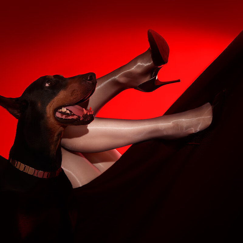 �����˿���lingerie��ӳ��8D�����Ը��͹��޺۸ߵ��������ɳ�����˿��ŮBlack��ɫ1��L-��˿�����ɣ������ο 31Ԫ