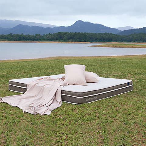 MƷLYNPON HOUSEWAREMϯ˼Ҭ齺Ҳɴ1.8x2ƫӲ 2994.12Ԫ