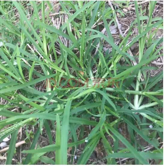 ���п� ��̺�����Ӱ����ļ���ͥԺ�����ͺ��ͺ��ͼ��������޼���ƺ���� ţ�������1��