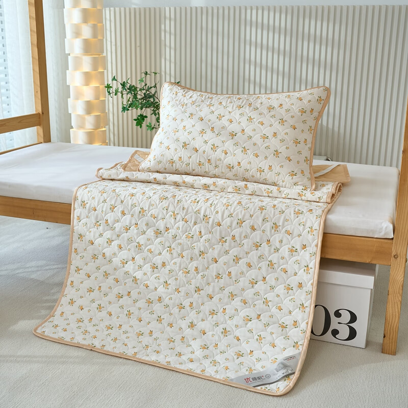 ������2025�¿�޷���ѧ��������ȫ�޵��˴����������������̴����Ӻ� ������������������� 90cm*200cm ���˴���